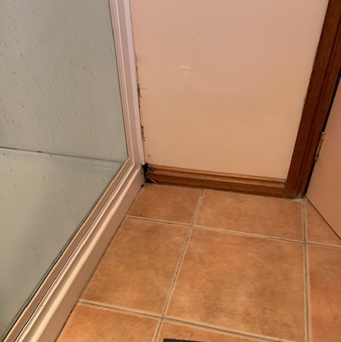 Warning Signs Your Plumbing System Needs Attention