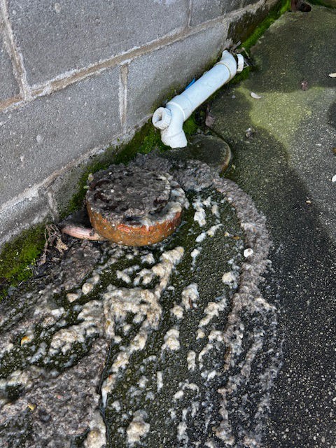 Blocked Drains: Causes & Solutions